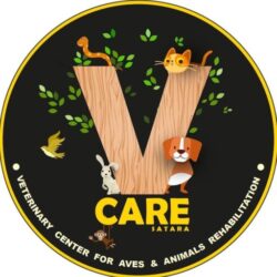 V Care Foundation Satara